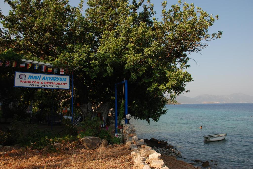 Mavi Akvaryum Pension Hotel Sogut  Exterior photo